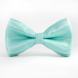 Papion Aquamarine